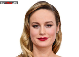 Brie Larson Nipple Slip